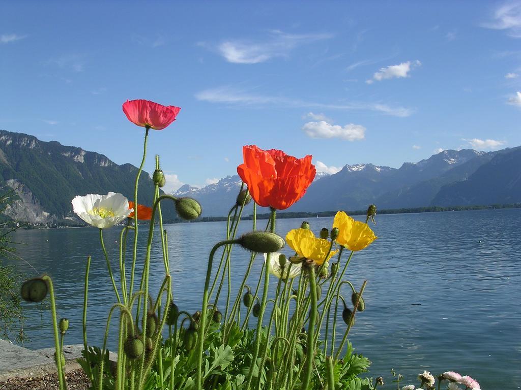 Chalet Des Alpes Bed and Breakfast Crans-Montana Eksteriør billede