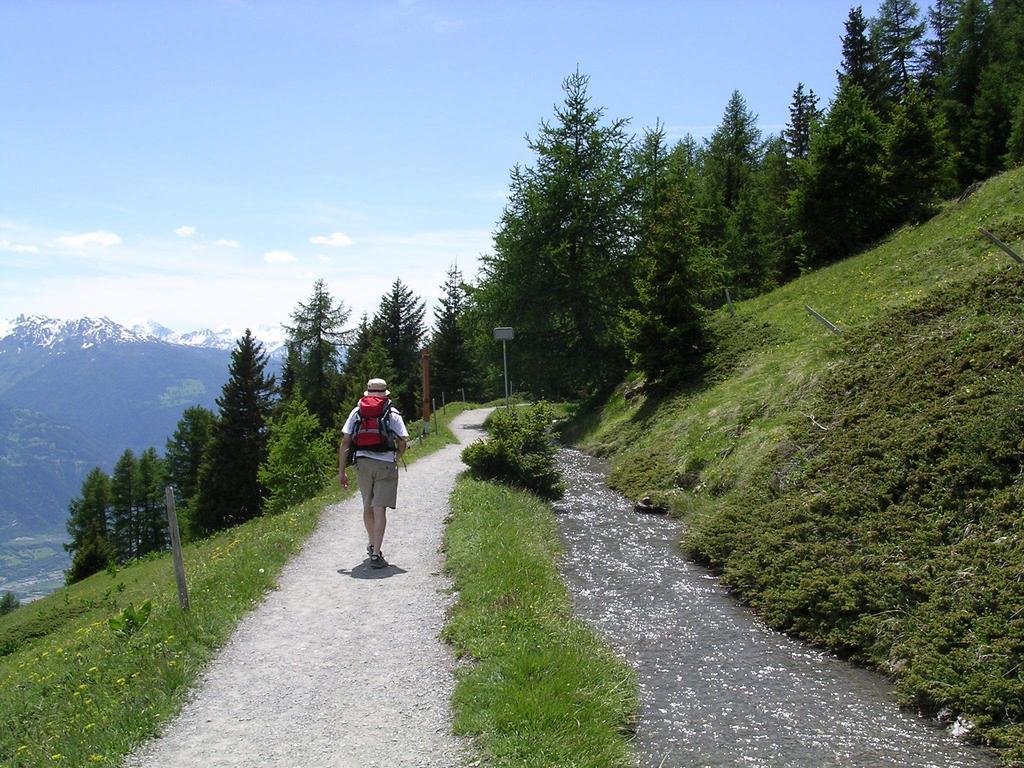 Chalet Des Alpes Bed and Breakfast Crans-Montana Eksteriør billede