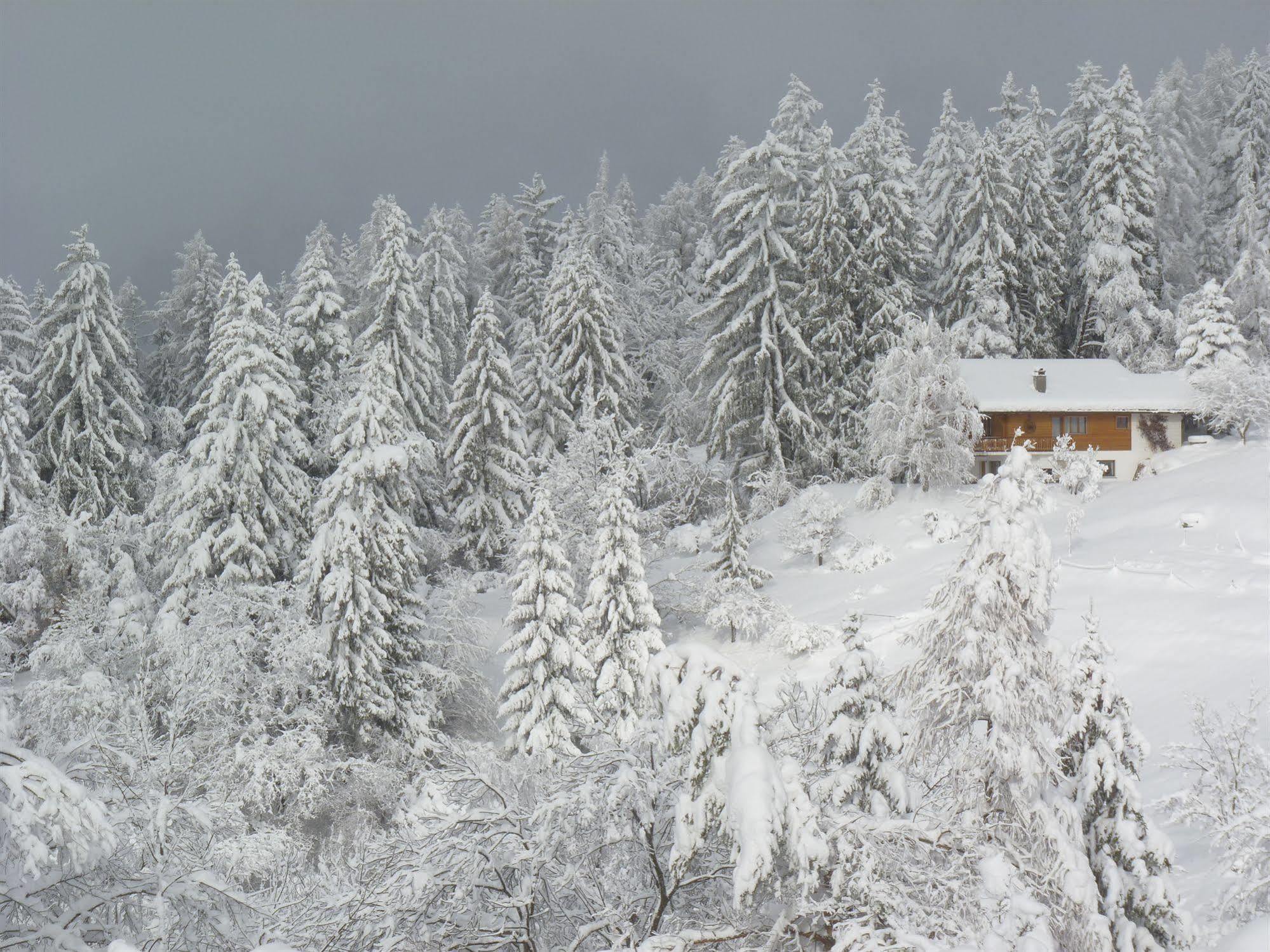 Chalet Des Alpes Bed and Breakfast Crans-Montana Eksteriør billede